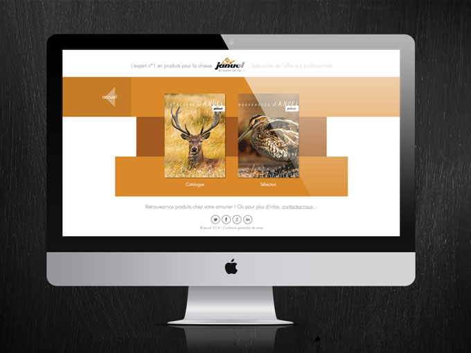 webdesign du site januel